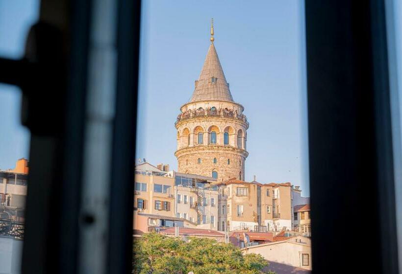 スタンダードルーム, Galata Greenland