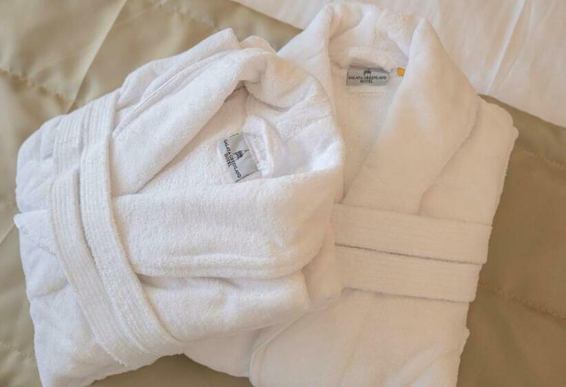 デラックスルーム, Galata Greenland