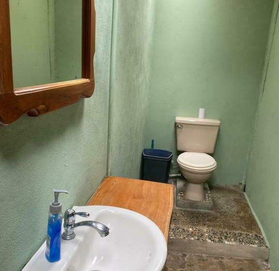 Bed in Shared Room with Shared Bathroom, Sweet Gulf Hostel