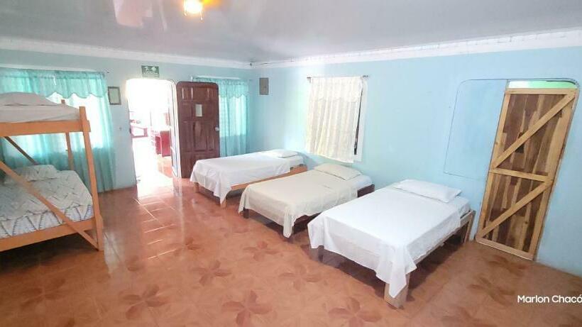 Bed in Shared Room with Shared Bathroom, Sweet Gulf Hostel