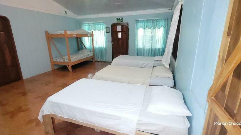 Bed in Shared Room with Shared Bathroom, Sweet Gulf Hostel