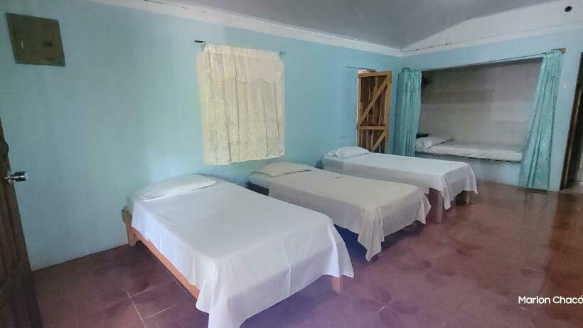 Bed in Shared Room with Shared Bathroom, Sweet Gulf Hostel