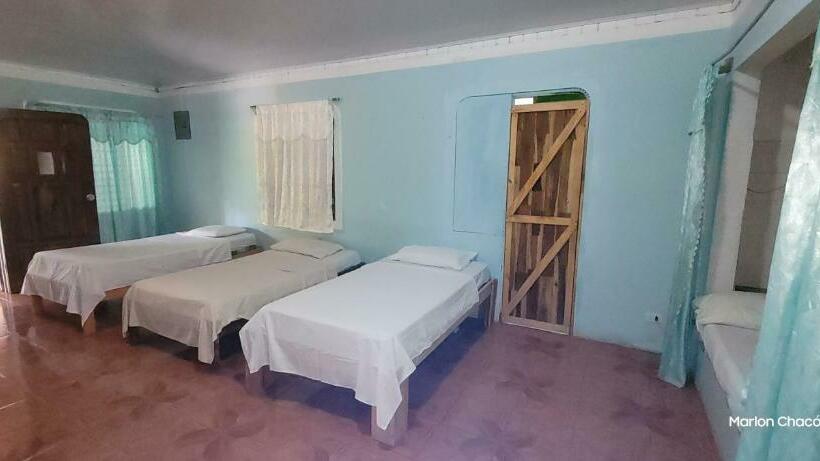 Bed in Shared Room with Shared Bathroom, Sweet Gulf Hostel