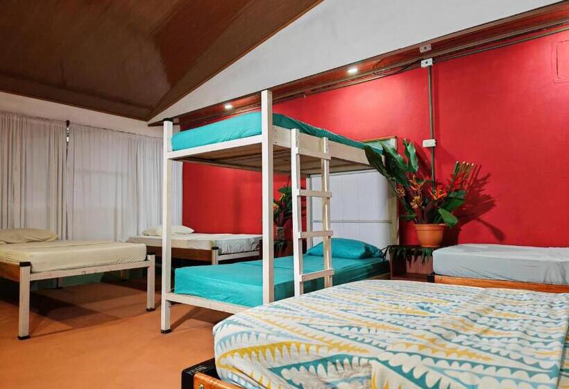 Bed in Shared Room with Shared Bathroom, Sweet Gulf Hostel