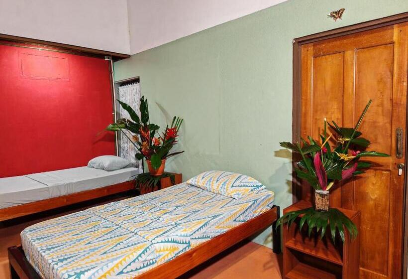 تختخواب در اتاق مشترک, Sweet Gulf Hostel