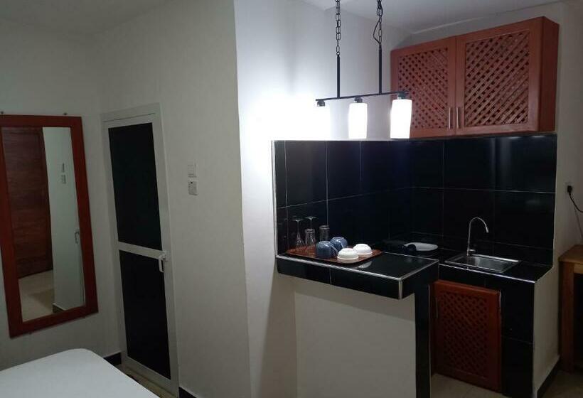 إستوديو قياسى مطلّ علي الحديقة, Didas Villa