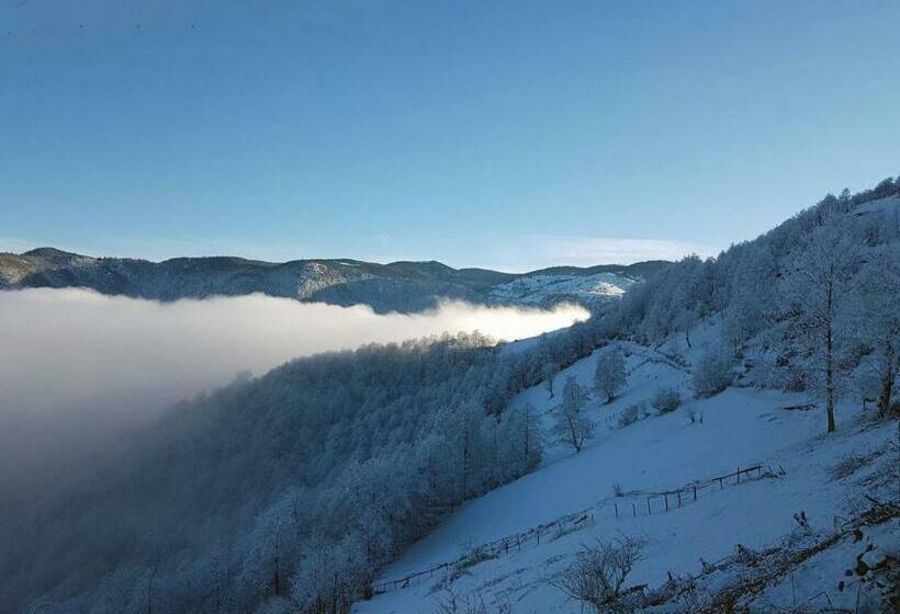 Номер Deluxe, Sirt Buti̇k