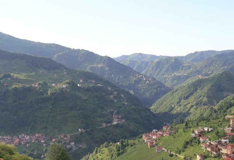 キングサイズベッドのデラックススイート, Bogina Dome & Suite   çamlıhemşin