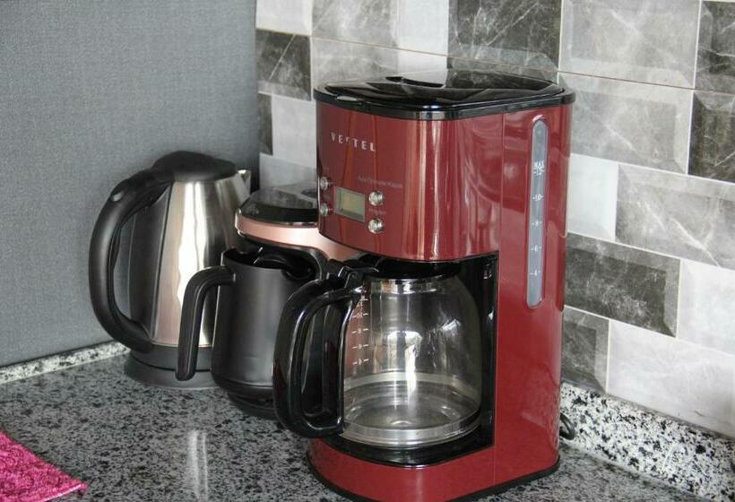 キングサイズベッドのデラックススイート, Bogina Dome & Suite   çamlıhemşin