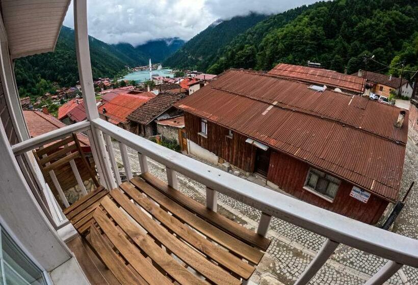 豪华套房, Uzungöl Ozturk