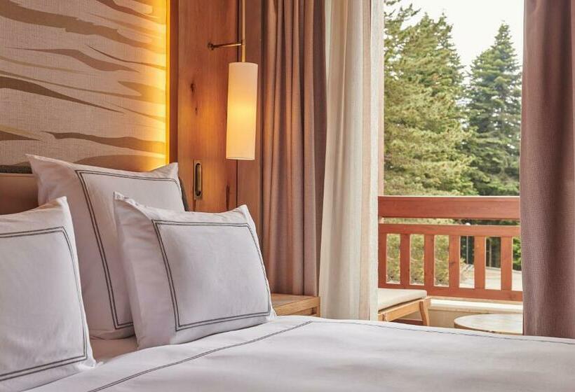 带大床的豪华间, Swissotel Uludag Bursa