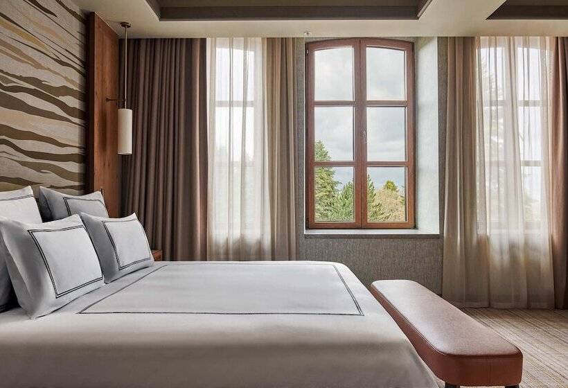 带风景豪华套房, Swissotel Uludag Bursa