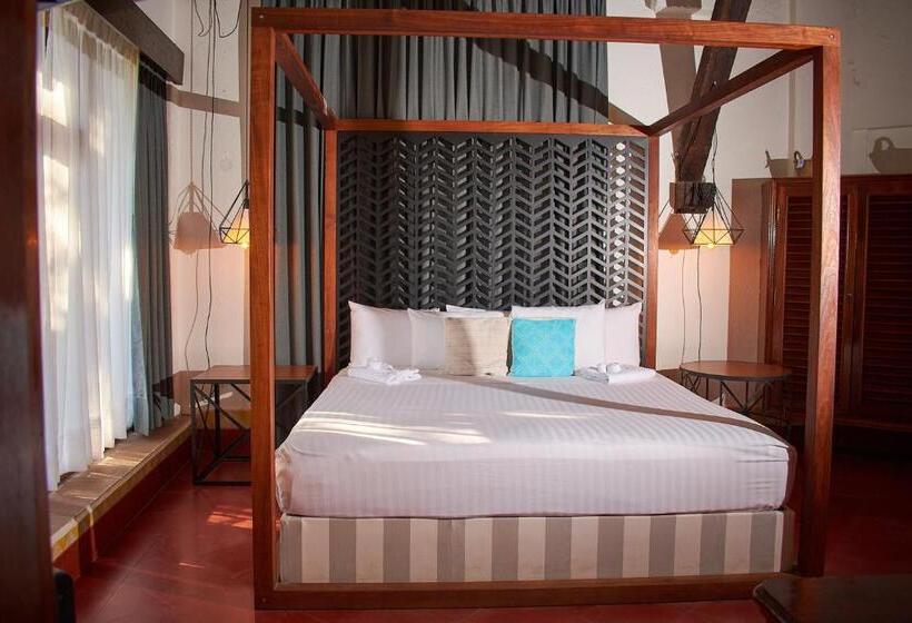 منزل غرفة نوم واحدة, Casa Lisa