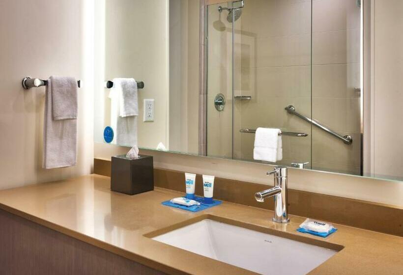 Standard Room King Bed Adapted for people with reduced mobility, Hyatt House At Anaheim Resort/convention Center