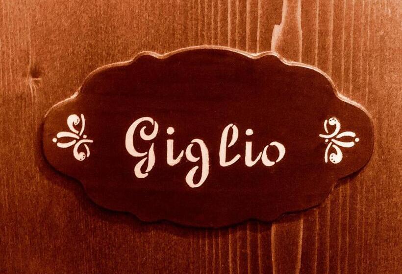 اتاق استاندارد, La Rosa Di Firenze B&b