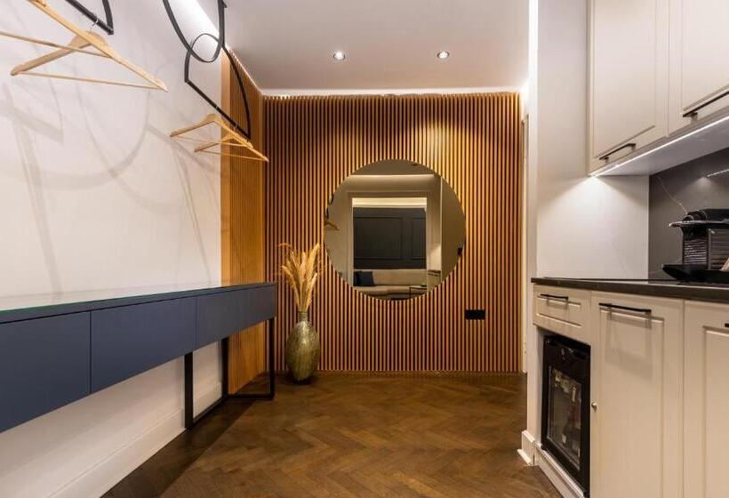 آپارتمان سوپریور 1 خوابه, One Luxury Suites