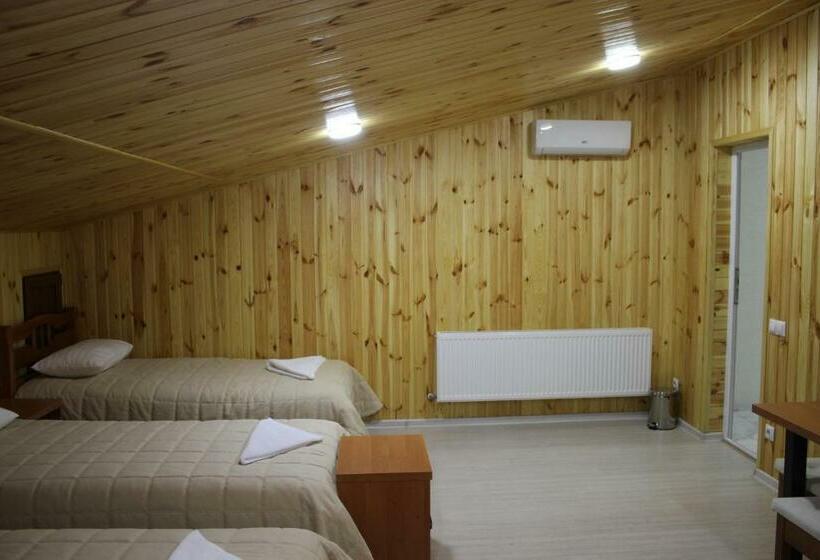 تختخواب در اتاق مشترک, Hostel Vinograd