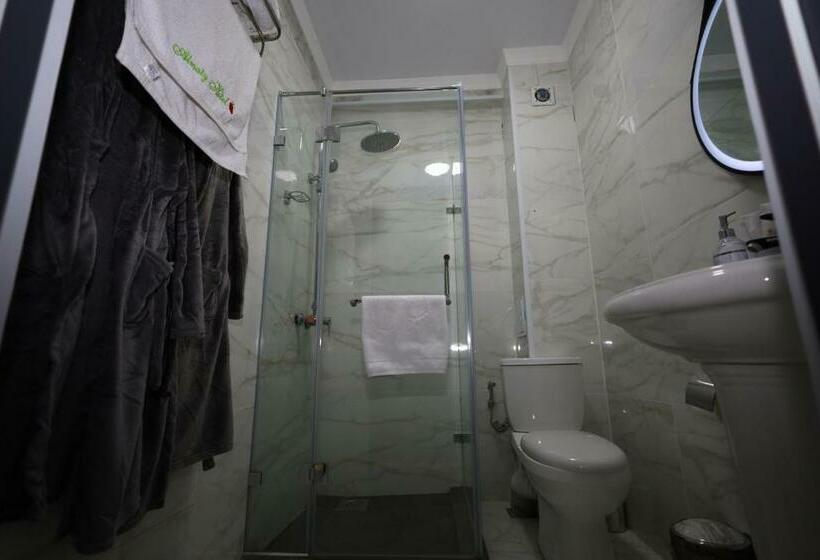 اتاق لوکس سه تخته, Almaty City