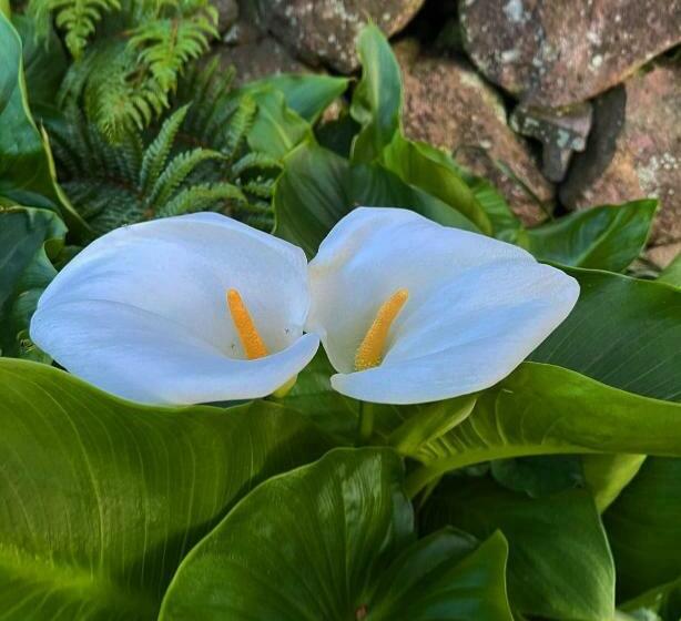 1间卧室的房子, Tema Hima   Vacation Stay 49744v