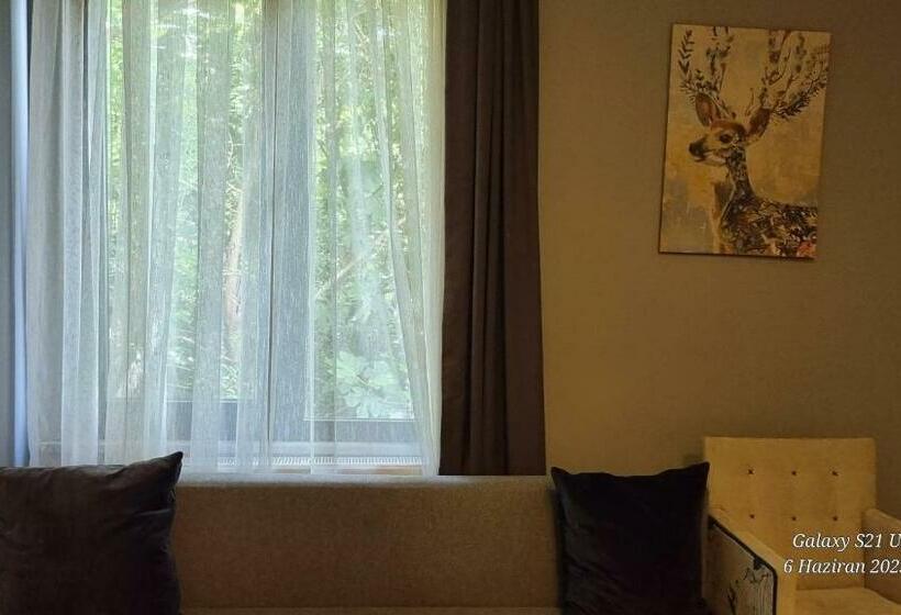 标准间, Vesta Resort Buti̇k