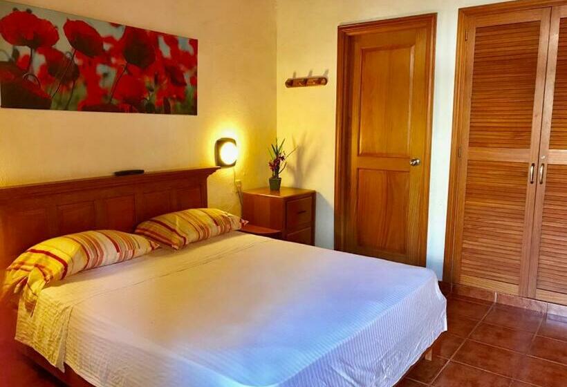 استودیوی استاندارد, Ermitage