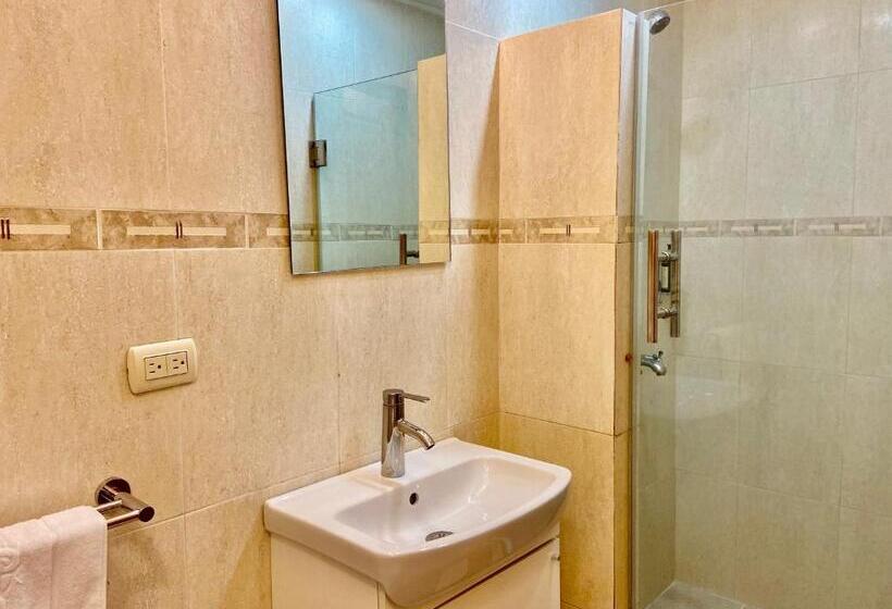 استودیوی استاندارد, Ermitage