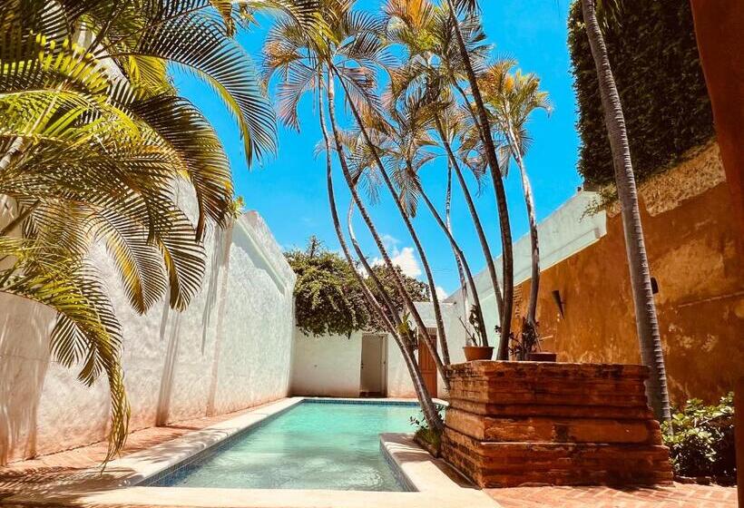 استودیوی استاندارد, Ermitage