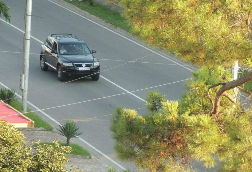 اتاق استاندارد با چشمانداز دریا, Bacho