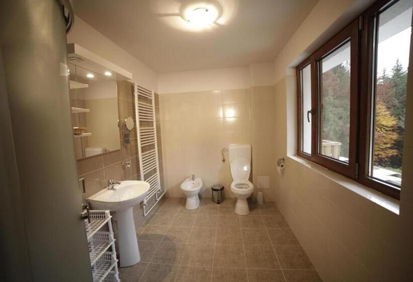 חדר סטנדרט לשלושה, Zana Vaii