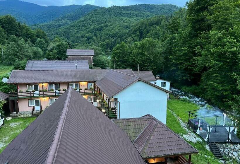 주니어 스위트 발코니, Pensiunea Flora