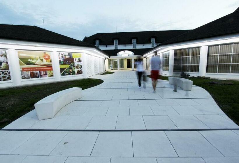 חדר סטנדרט, Solitaire