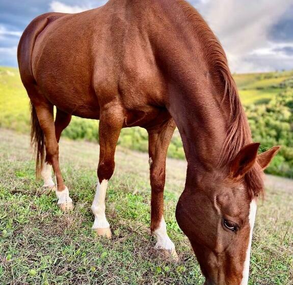 וילה דלוקס חדר שינה 1, Villa Rignana   Chianti Weddings