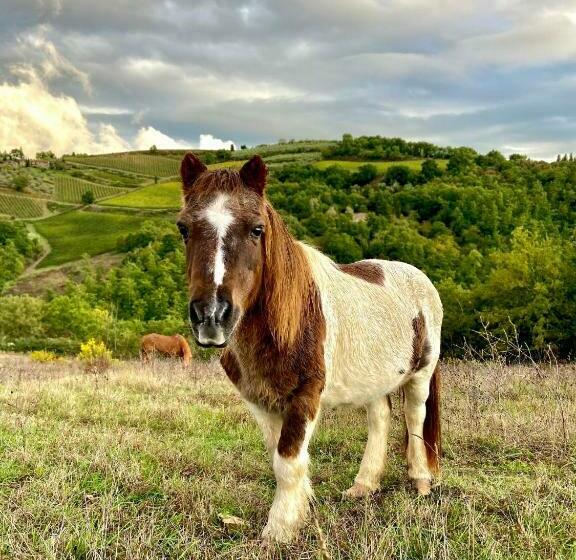 וילה בת 3 חדרי שינה, Villa Rignana   Chianti Weddings