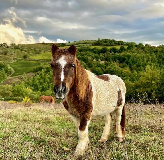 וילה בת 3 חדרי שינה, Villa Rignana   Chianti Weddings