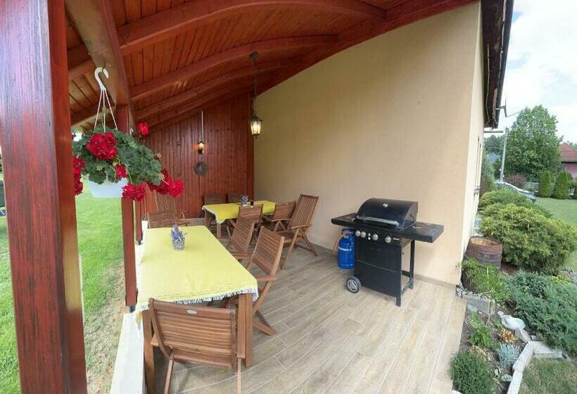 Студия Стандарт, Privát Lenka