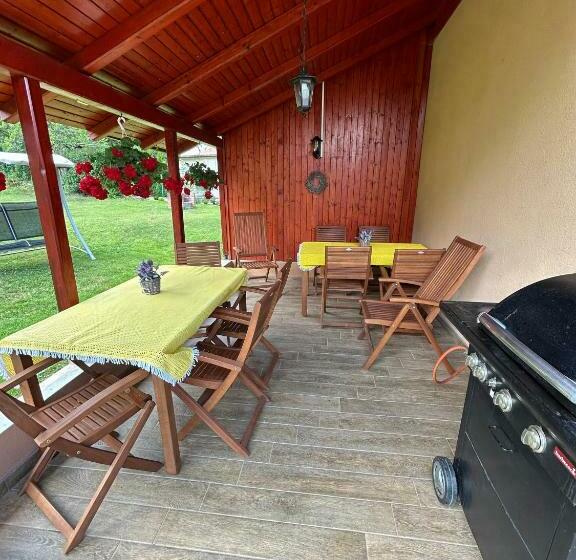 Студия Стандарт, Privát Lenka