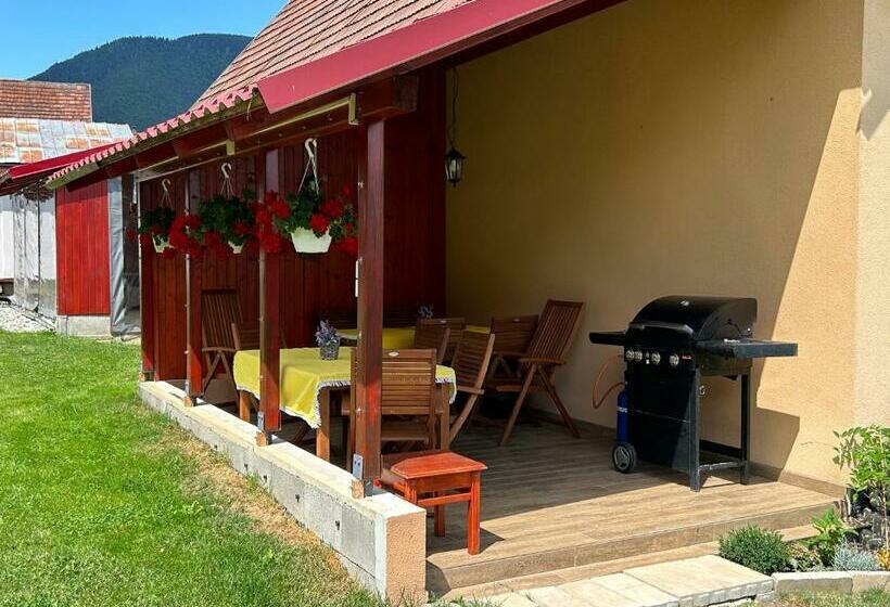 Студия Стандарт, Privát Lenka