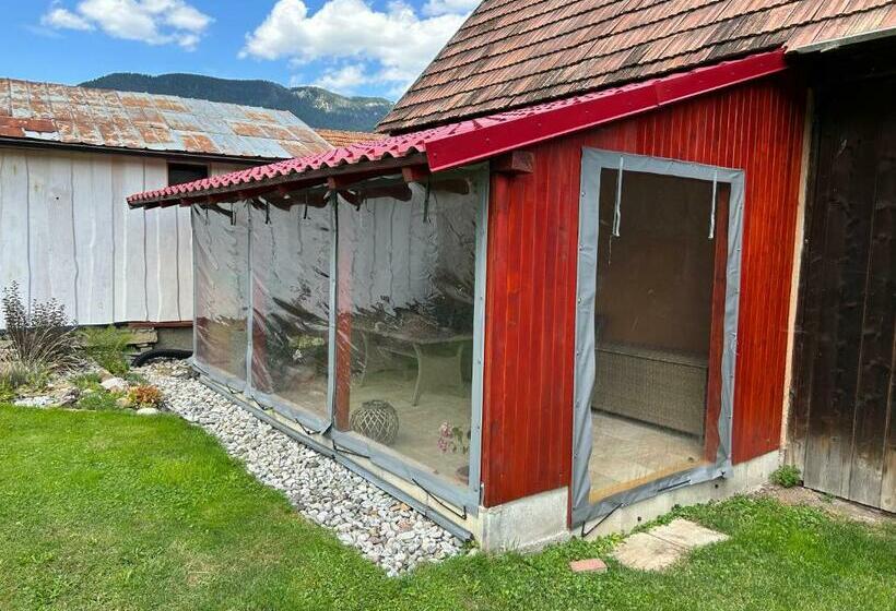 Студия Стандарт, Privát Lenka