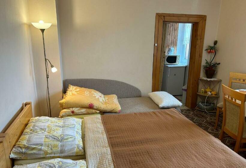 Студия Стандарт, Privát Lenka