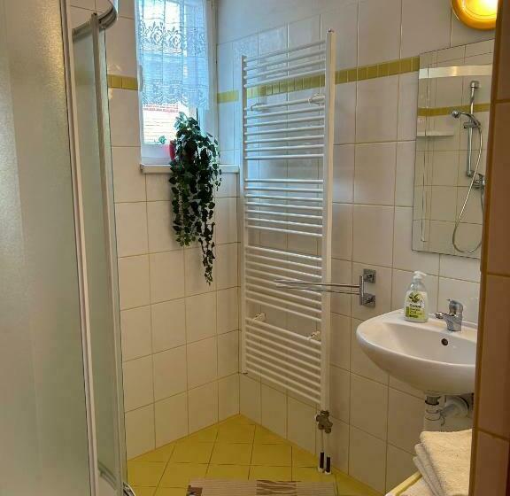 Студия Стандарт, Privát Lenka