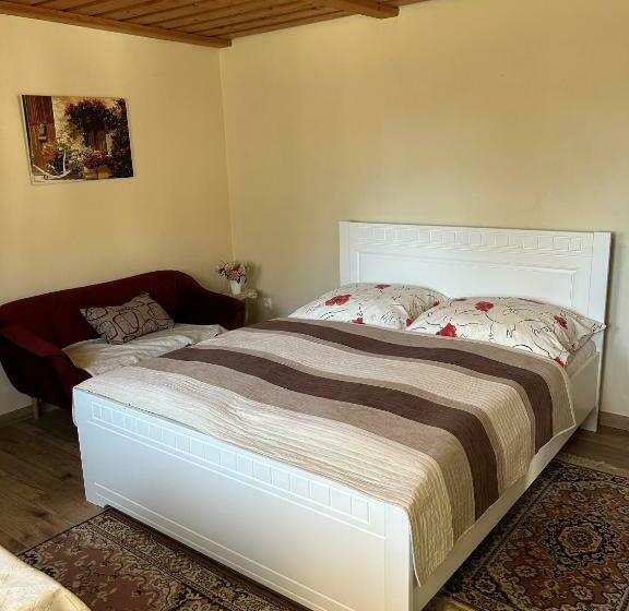 Студия Стандарт, Privát Lenka