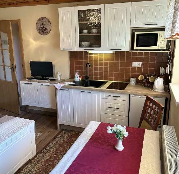 Студия Стандарт, Privát Lenka