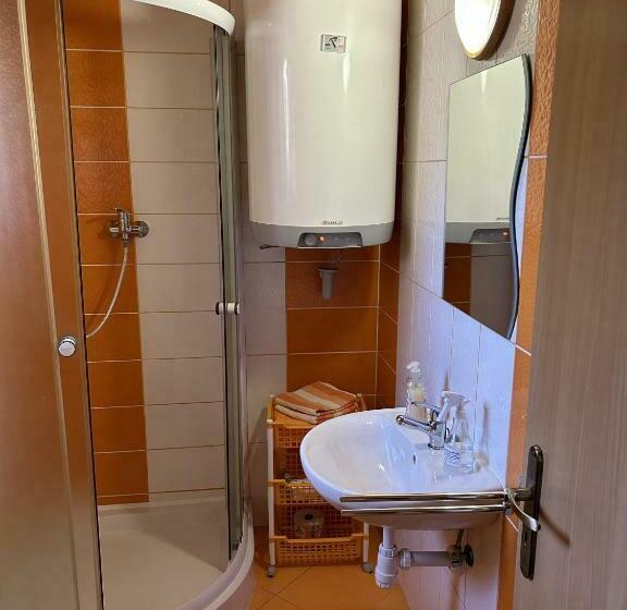 Студия Стандарт, Privát Lenka