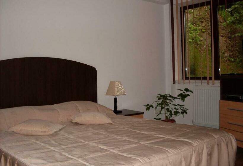 スタンダードルーム, Pensiunea Roua