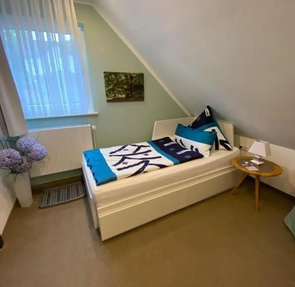 スタンダードシングルルーム, Pension Haus Talblick Edersee