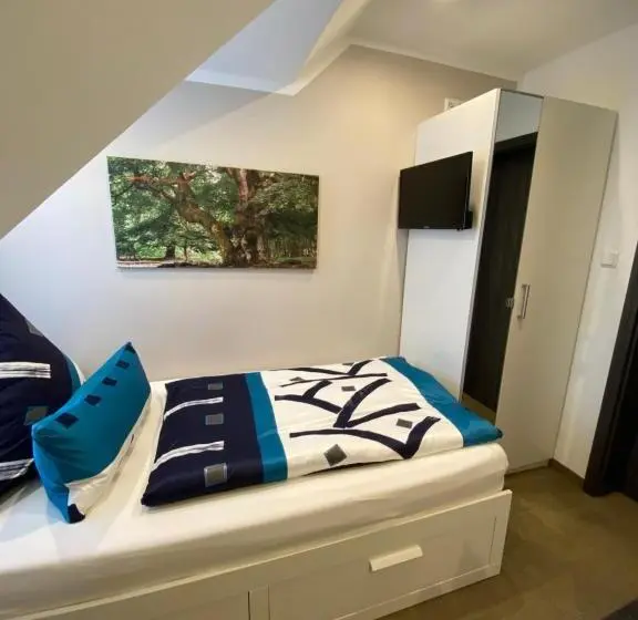 スタンダードシングルルーム, Pension Haus Talblick Edersee