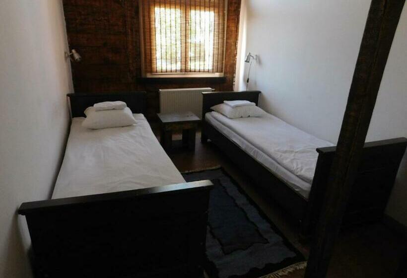 اتاق اکونومی, Senliepāja