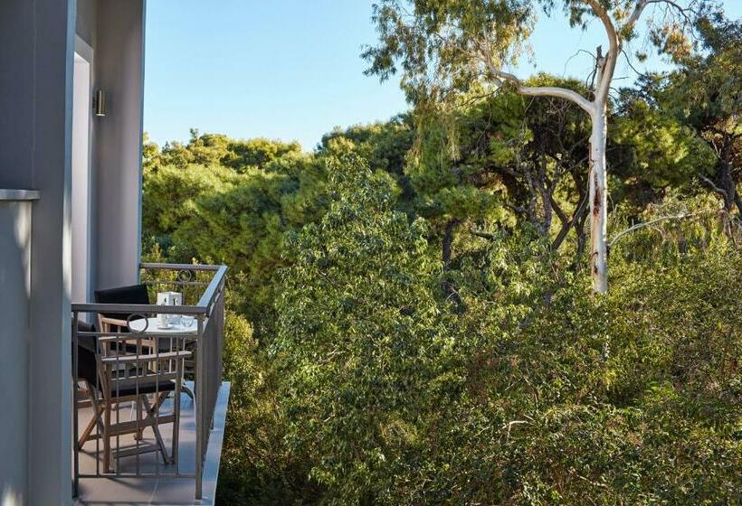 غرفة قياسية مطلّة علي الحديقة, The Gardens Gallery