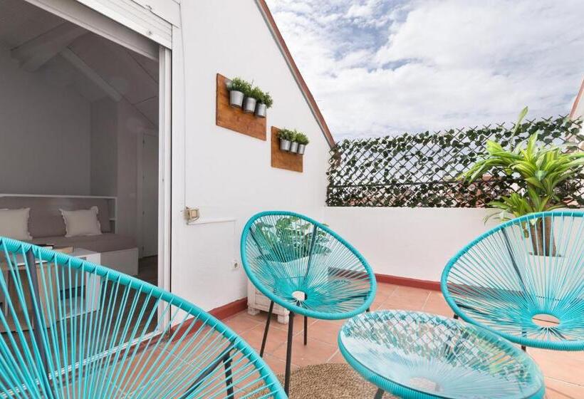 آپارتمان دوبلکس 1 خوابه, Roisa Centro