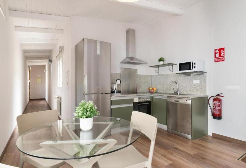 آپارتمان دوبلکس 1 خوابه, Roisa Centro